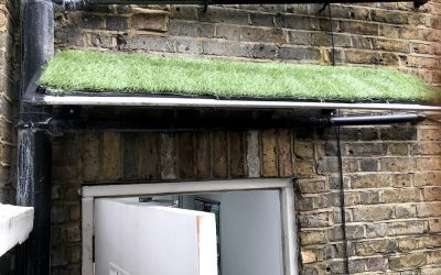 Door canopy